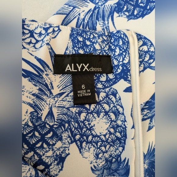 Alyx White Dress with Blue Pineapple Print. Size 6 - Picture 10 of 14